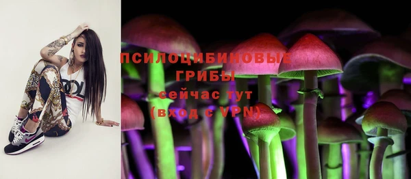 меф Касимов