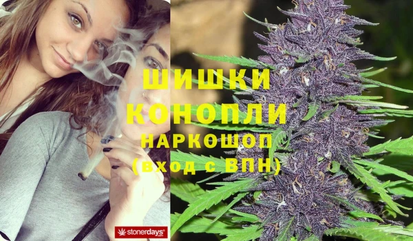 тгк Каменск-Шахтинский