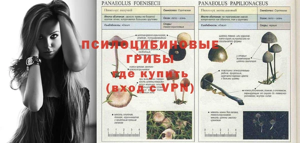 прущая мука Инта