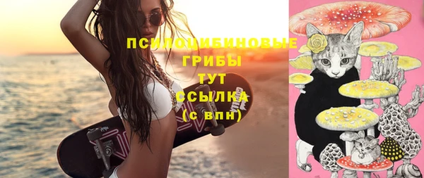 круглые Каменногорск